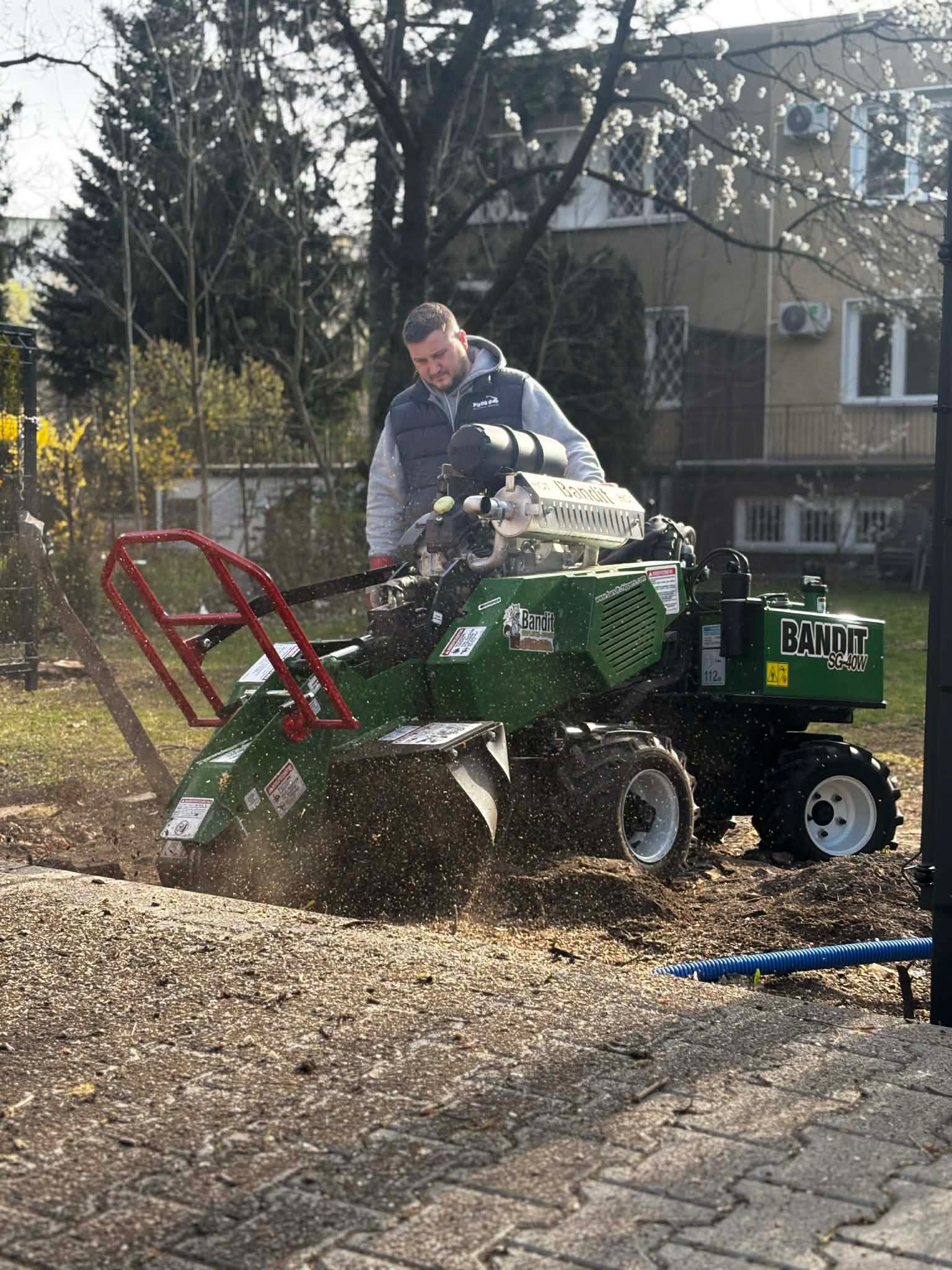 Rębaczka Bandit — ujęcie całościowe