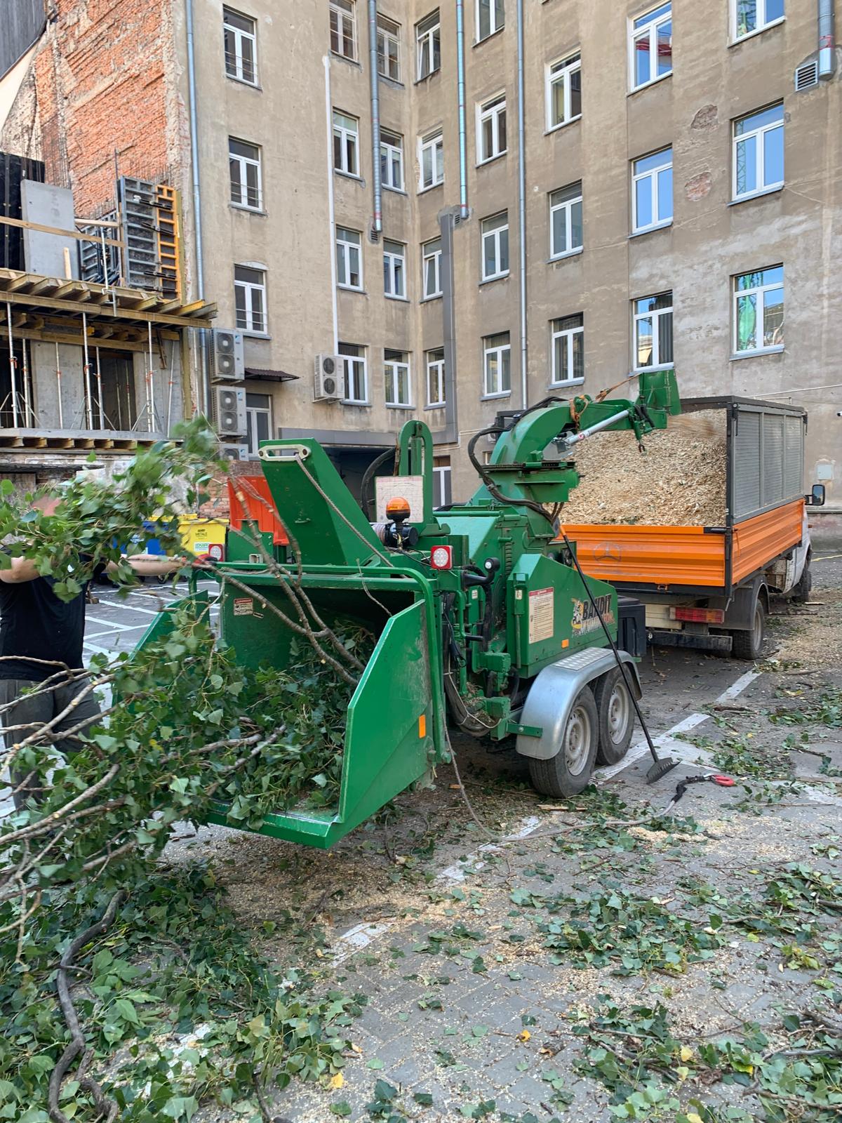 Karczowanie i frezowanie na działce